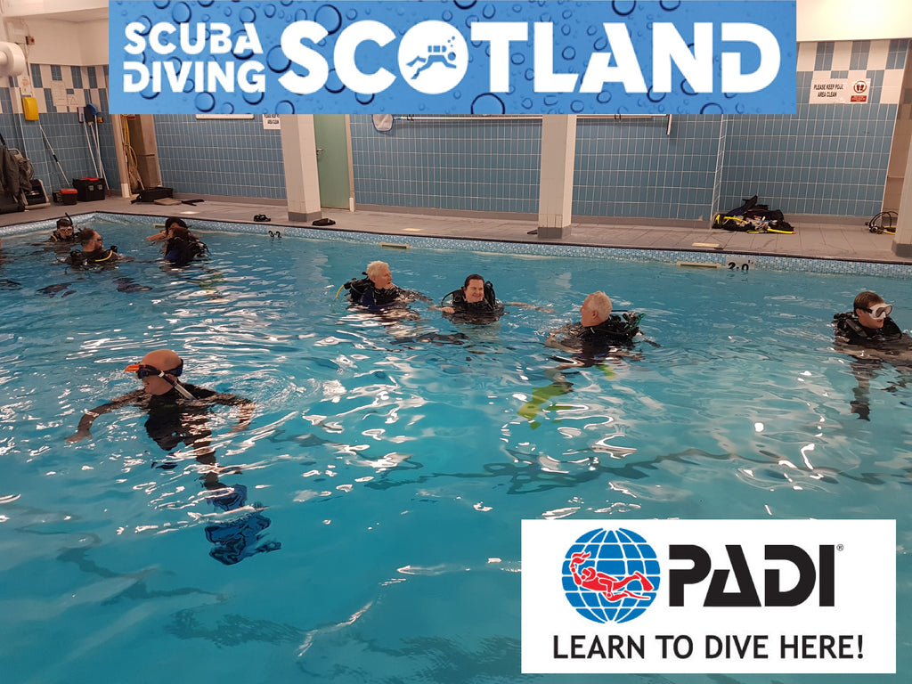 Pool Session at Hollyrood Pool - Wed 22nd Jan 2020