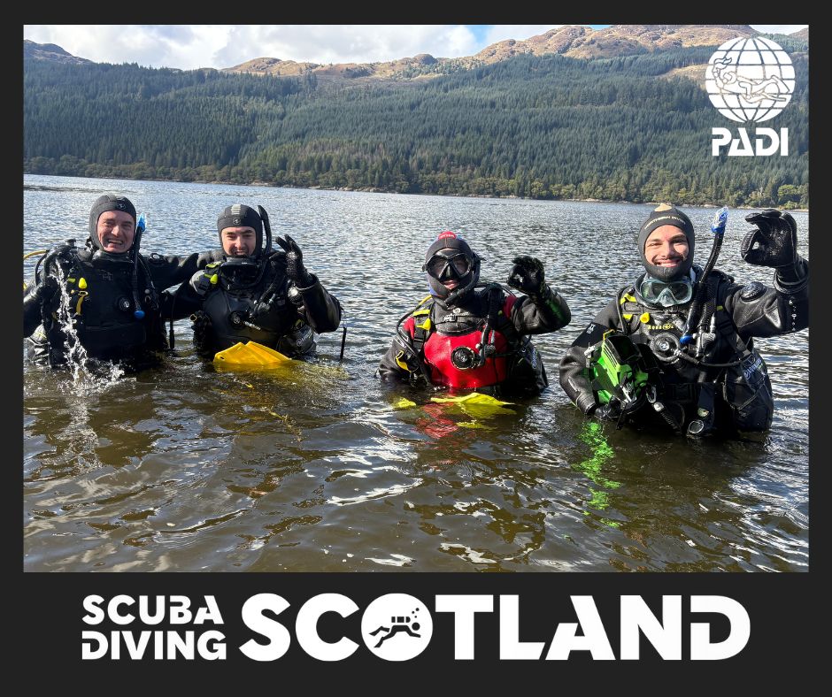 💦 Splash into 2026! 💦