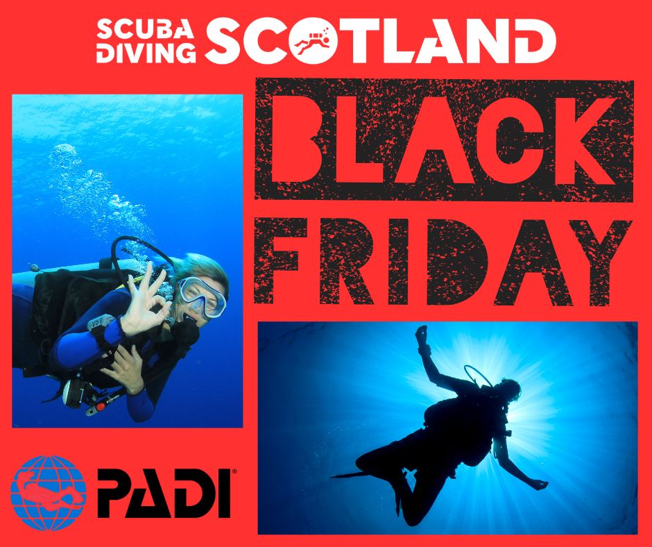 🔥 COMING SOON 🔥