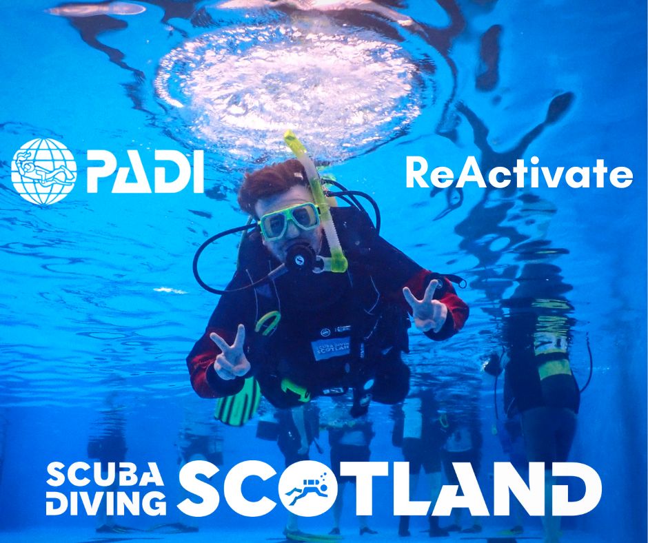 Has it been a while since your last dive?