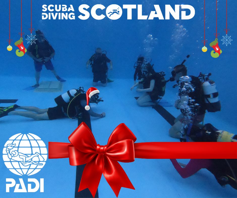 🎁 Give the best gift this Christmas with a PADI Discover Scuba Diving session for only £50!