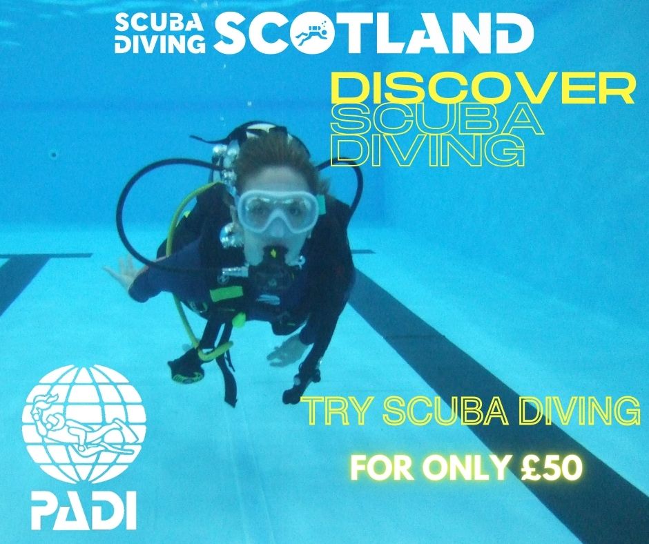 🌊 Dive into Adventure! 🌊