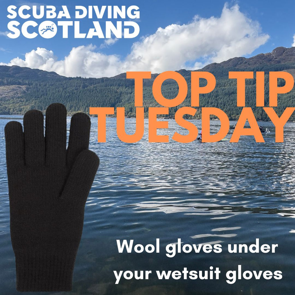 Wool has the ability of keeping you warm even when wet