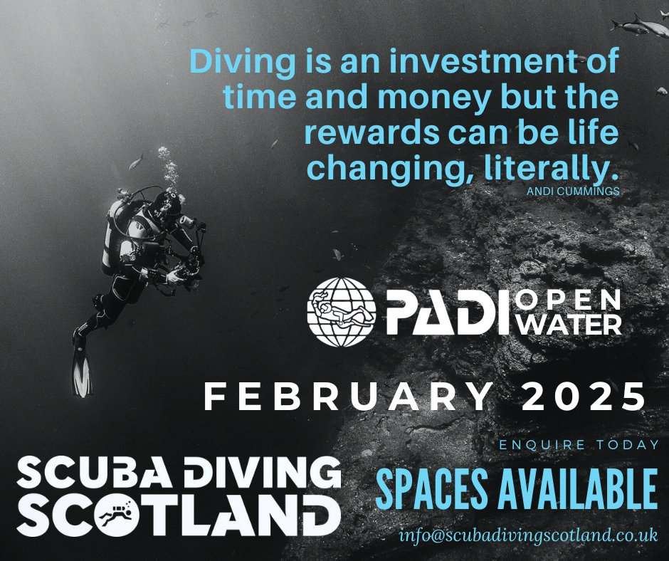 Spaces Available - PADI Open Water February 2025 Course