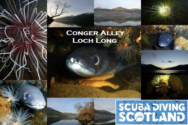 Diving Day Sunday 10th December 2017 - Conger Alley, Loch Long