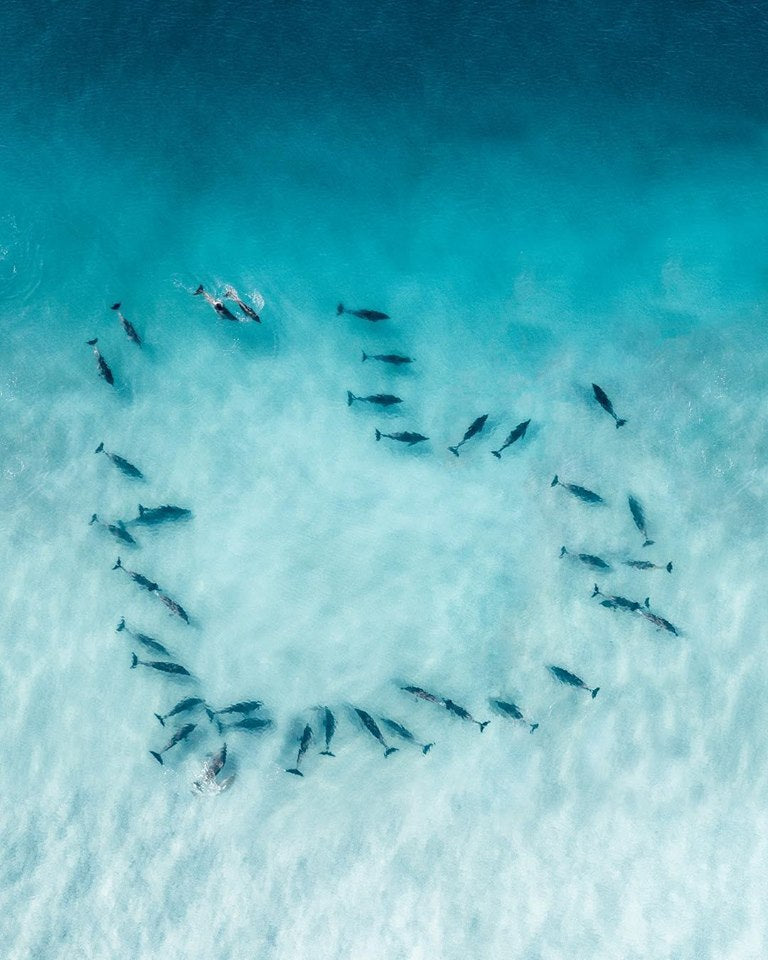 Happy Valentines Day from SCUBA DIVING SCOTLAND!