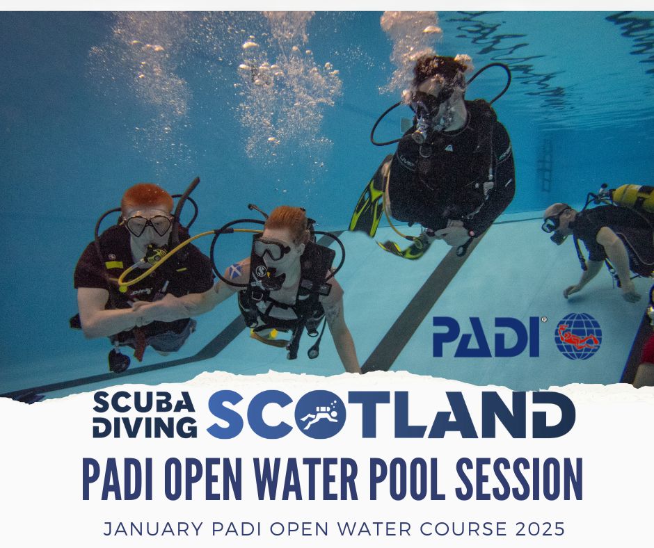 PADI Open Wate Pool Session - January 2025