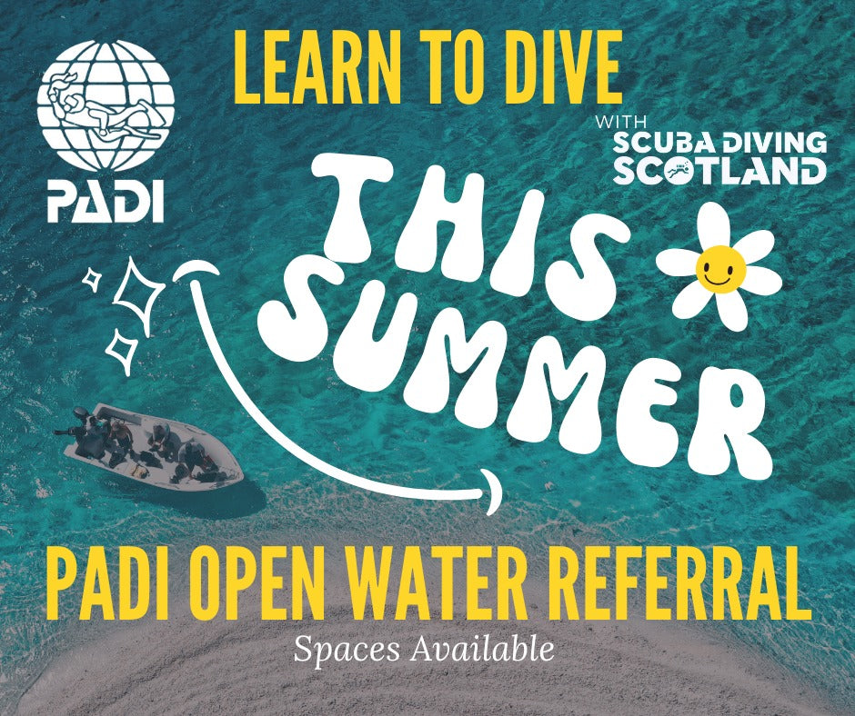 PADI Open Water Referral - Spaces Available!