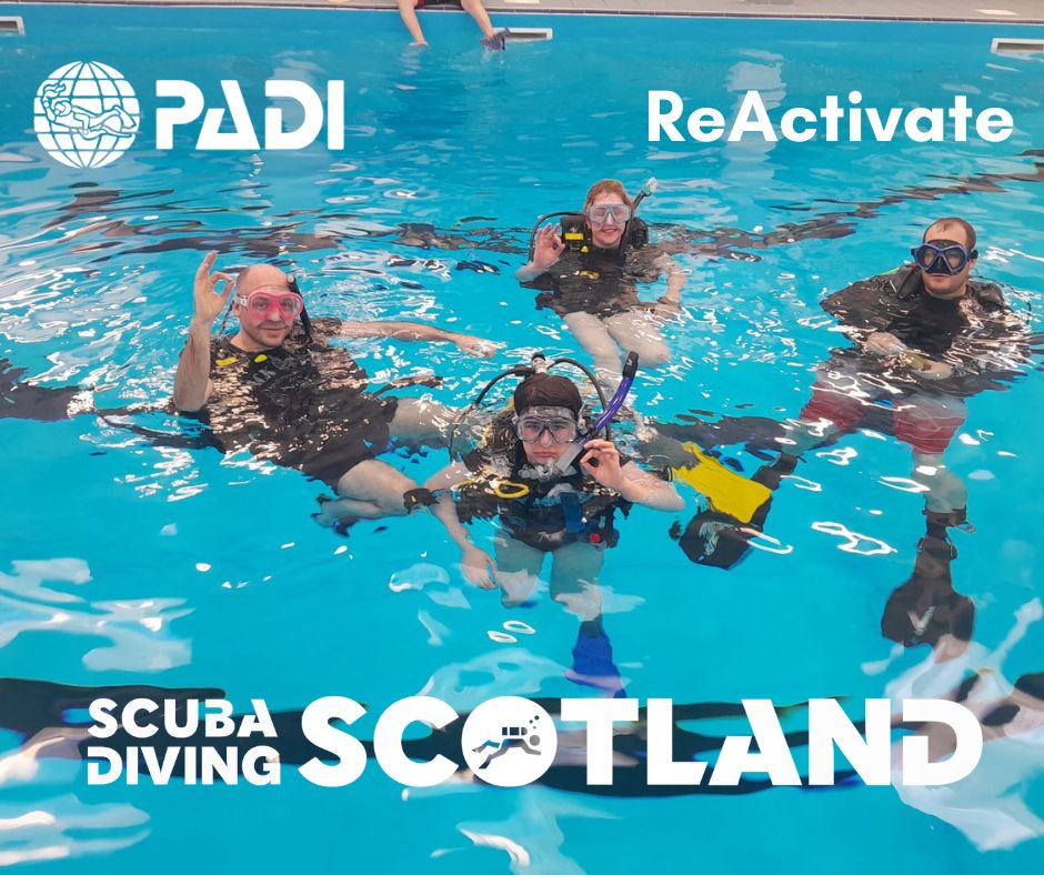 PADI ReActivate & Scuba Review 2026