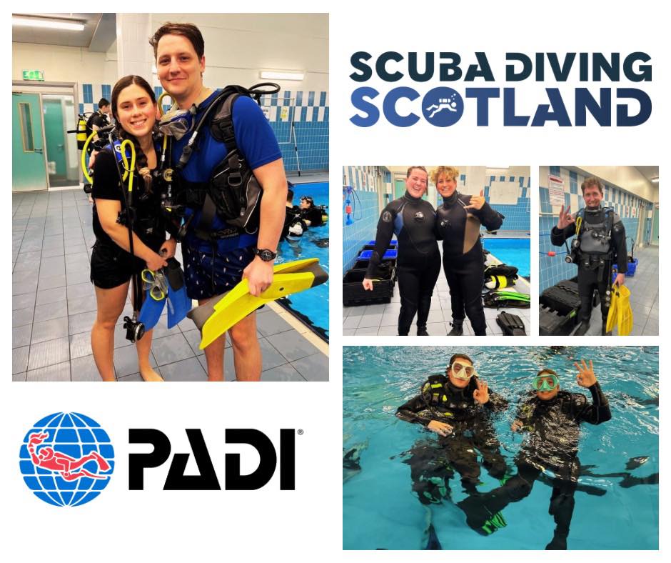 We’ve had some amazing pool sessions over the last few weeks!
