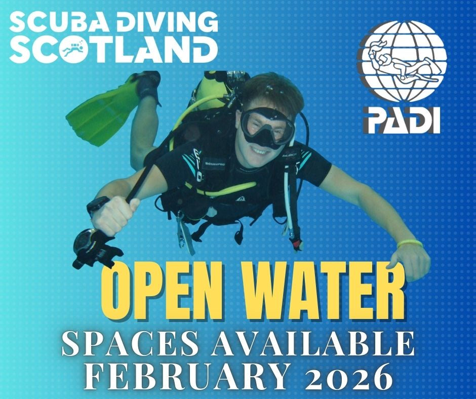 ⚠️ Join our PADI Open Water Course this February 🌊