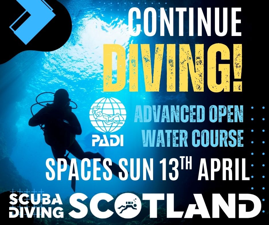 *LIMITED SPACES AVAILABLE* We are diving on Sunday 13th April 2025.