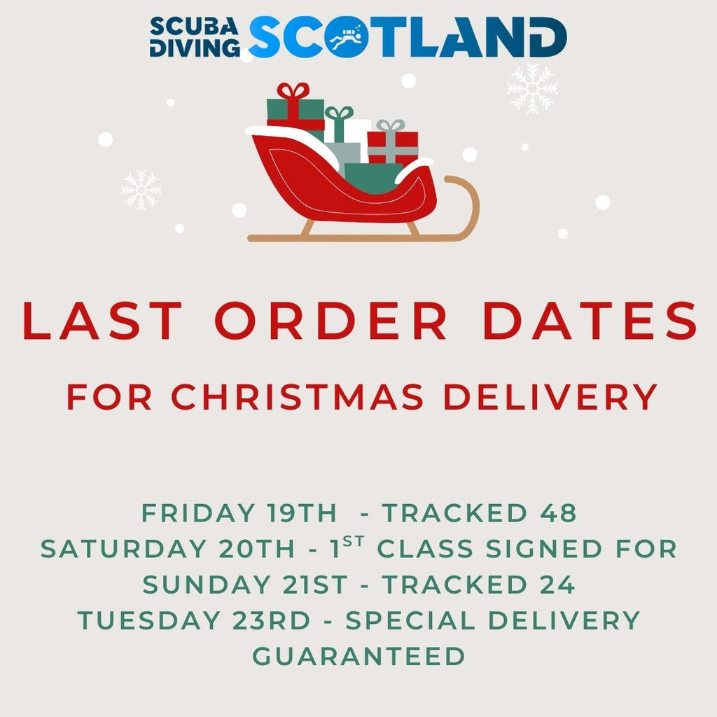 🎁 CHRISTMAS DELIVERY! 🎁