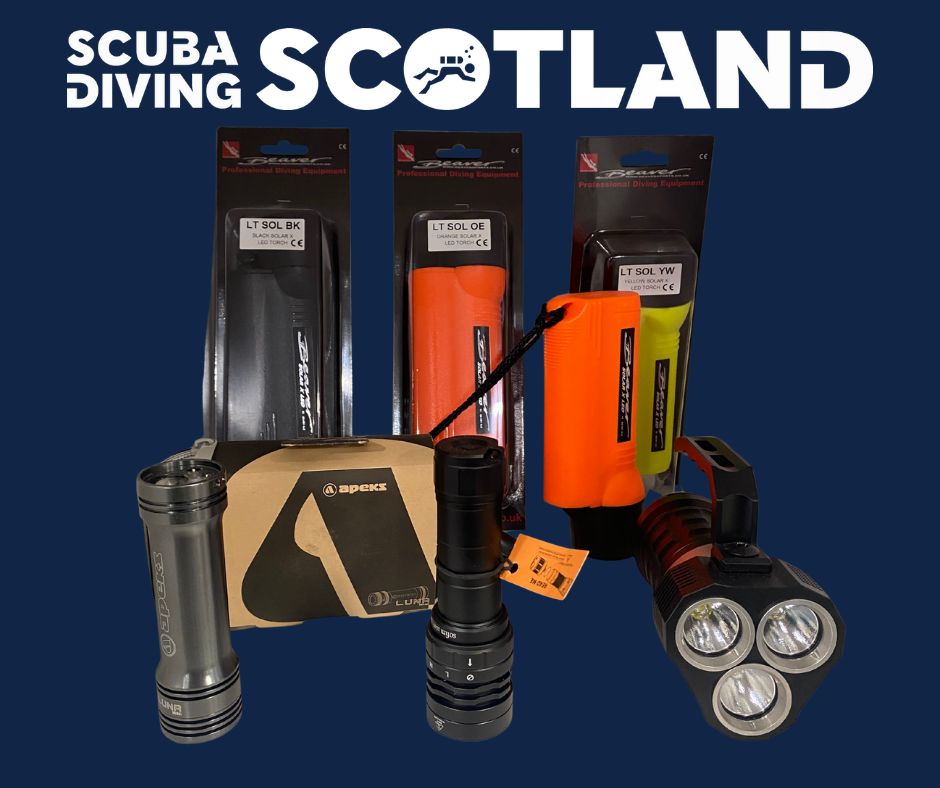 🔦 Having the right dive torch is a necessity. It helps you navigate, read gauges, and get the best underwater experience. 🐠 💦