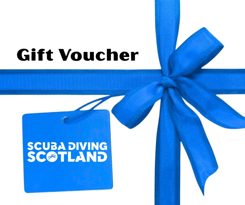 📣 Looking for the perfect last minute Christmas gift?