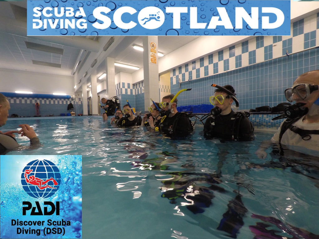 PADI Discover Scuba Diving (DSD) Session - Holyrood Pool Wednesday 13th Feb 2019.