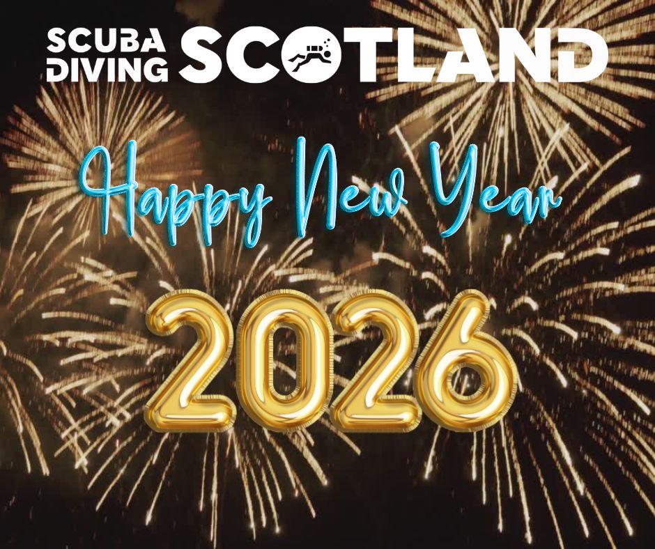 🥳 HAPPY NEW YEAR - 2️⃣0️⃣2️⃣6️⃣ 🥳