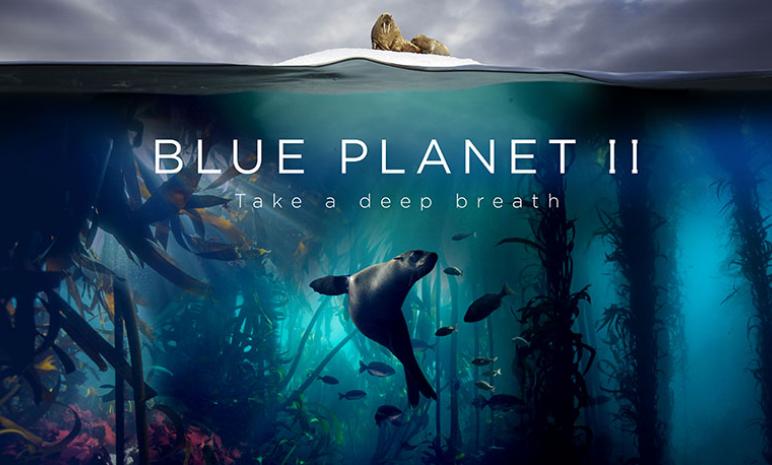 Blue Planet 2 - Scuba Diving and Filming