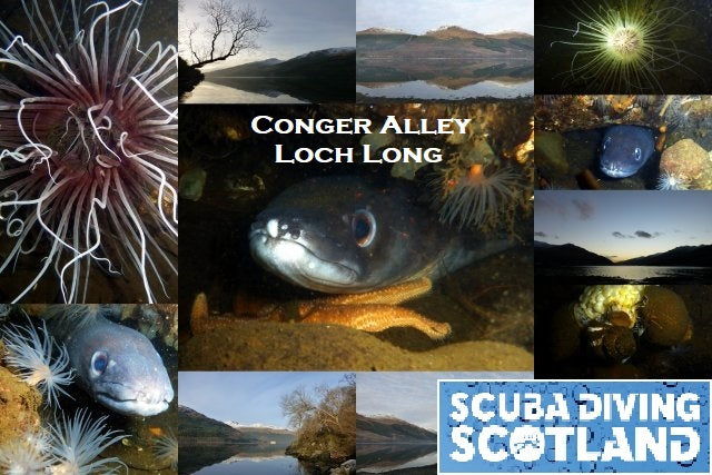 PADI Discover Local Diving (DLD) 1st October 2017 - Conger Alley, Loch Long.