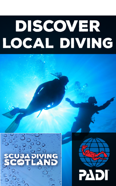 Available Diving this Saturday 18th May 2019