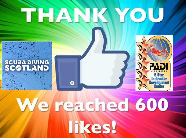 600+ Facebook Likes! THANK YOU!
