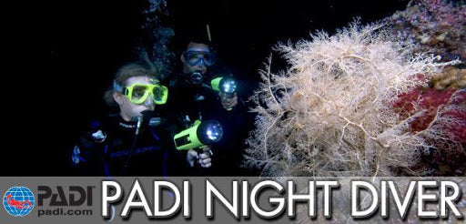 PADI Night Diver Speciality - November 2020