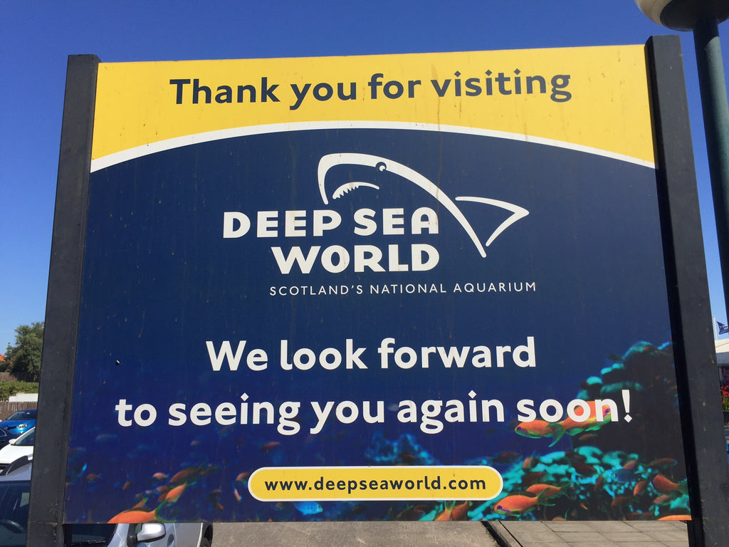 Deep Sea World PADI Assistant Instructor Course August 2017