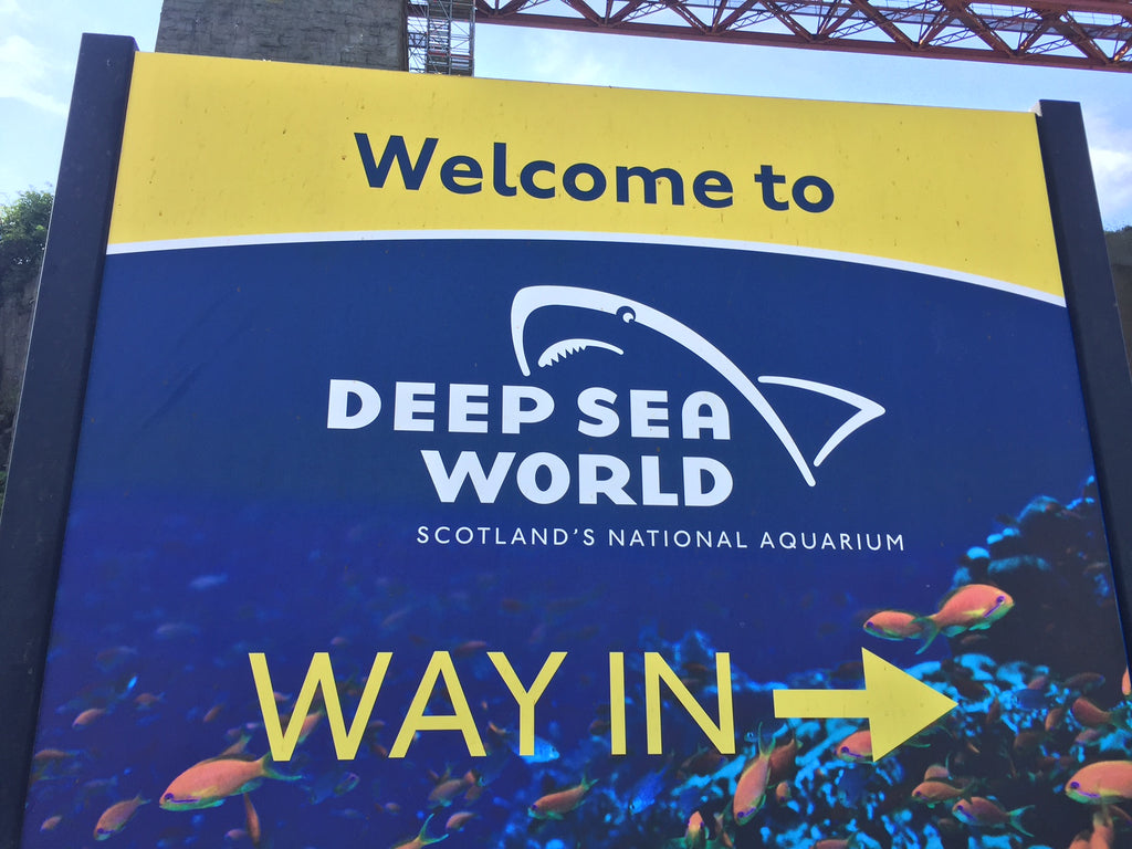 Deep Sea World - PADI Assistant Instructor Course