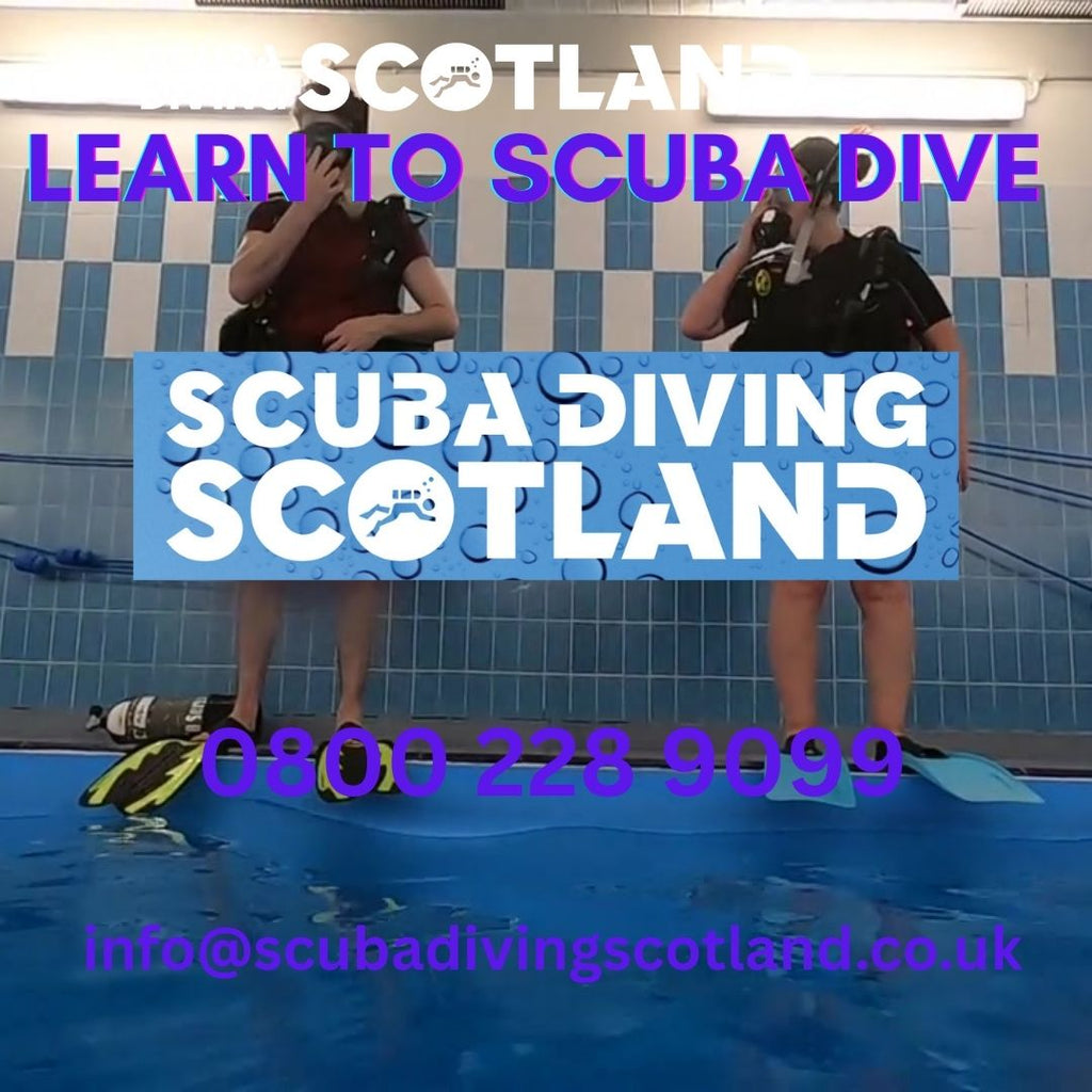 Pool Session - Wed 12th Nov 2025