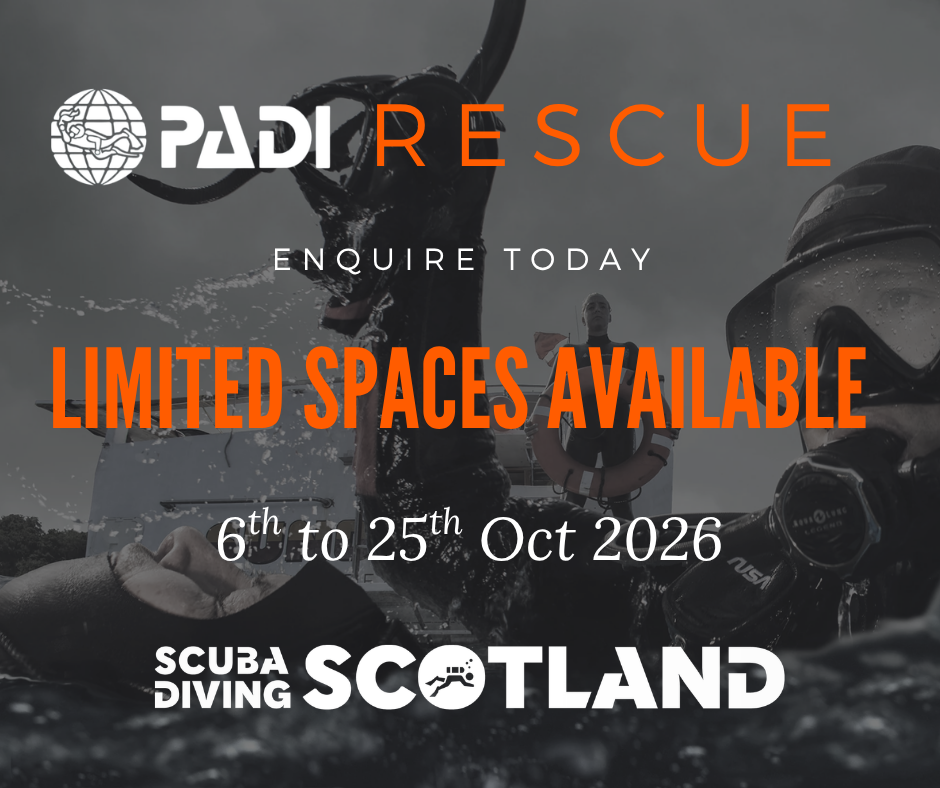⚠️PADI RESCUE DIVER COURSE - Oct 2026 Spaces Available⚠️