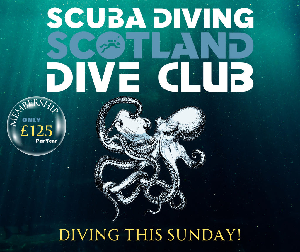 Scuba Diving Scotland Dive Club - Join Now!
