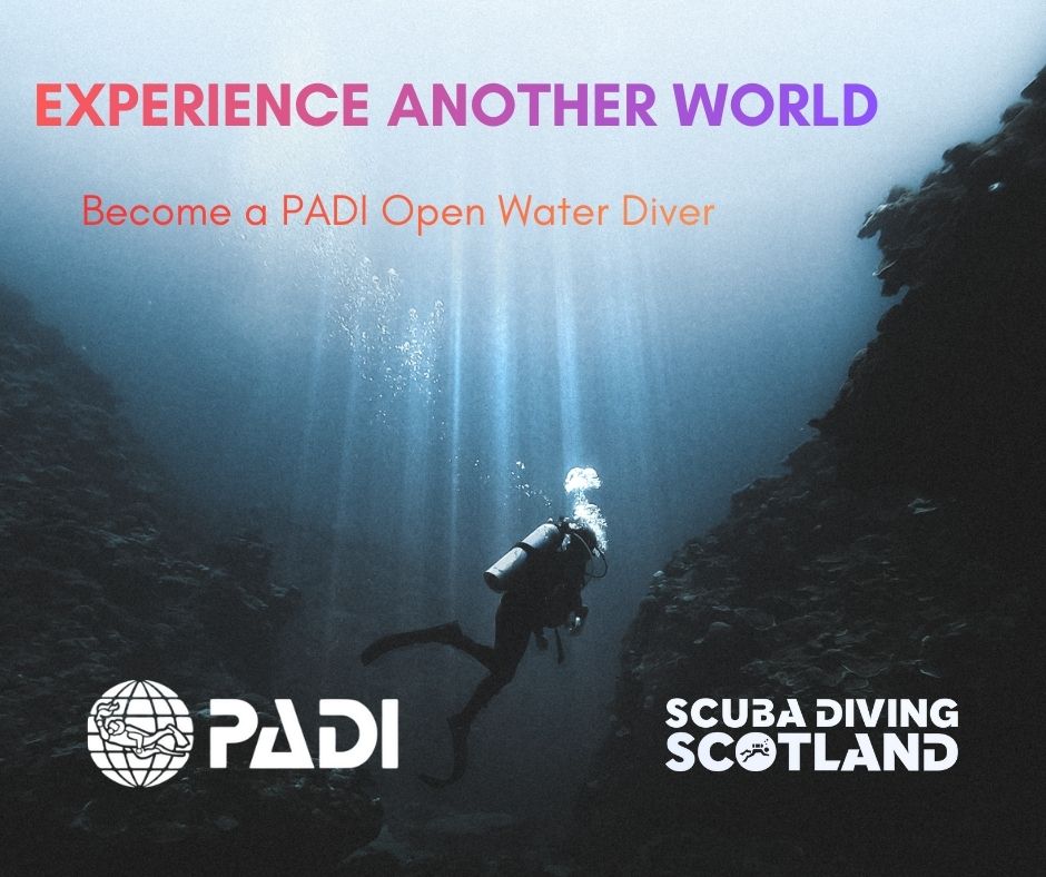 Scuba Diving is a hobby unlike any other.