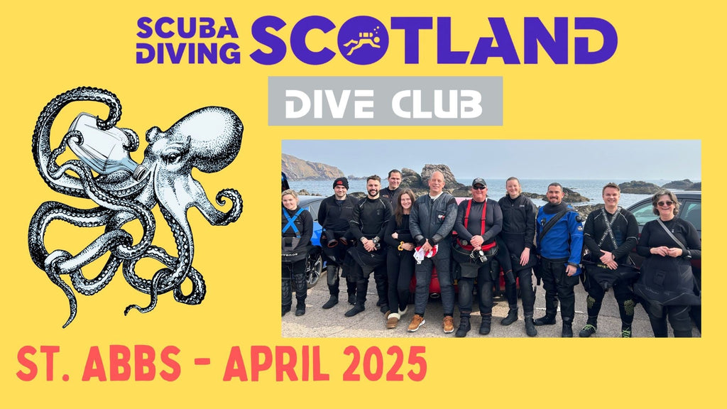 Did you know we have our own dive club?