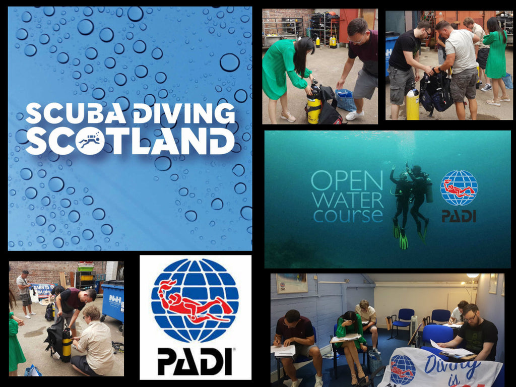 What a great start to the PADI Open Water July 2018 course