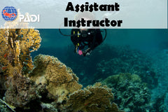 PADI AI Assistant Instructor Course