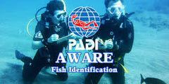 PADI AWARE Fish ID Speciality
