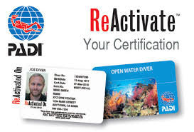 PADI ReActivate Touch - Download